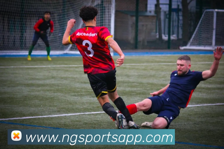 南宫体育平台生态图